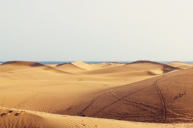 Maspalomas Gran Canaria