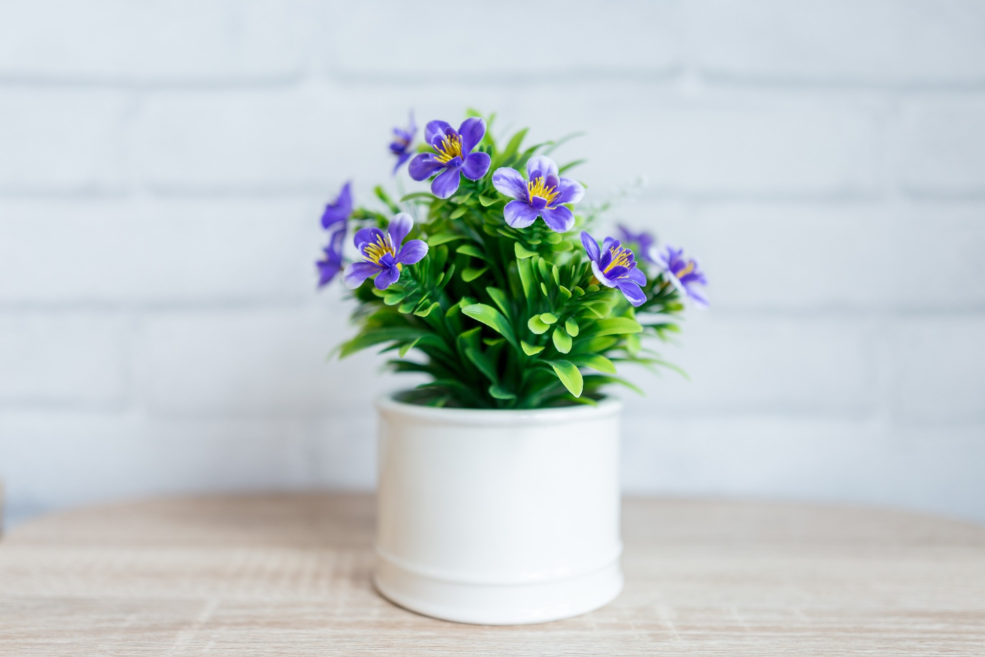 betonové květináče